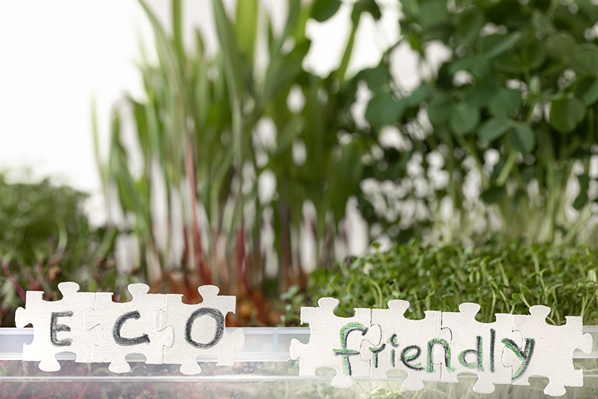 KOCHI, HERE’S 8 TIPS TO STAY ECO-FRIENDLY THIS HOLIDAY SEASON!<