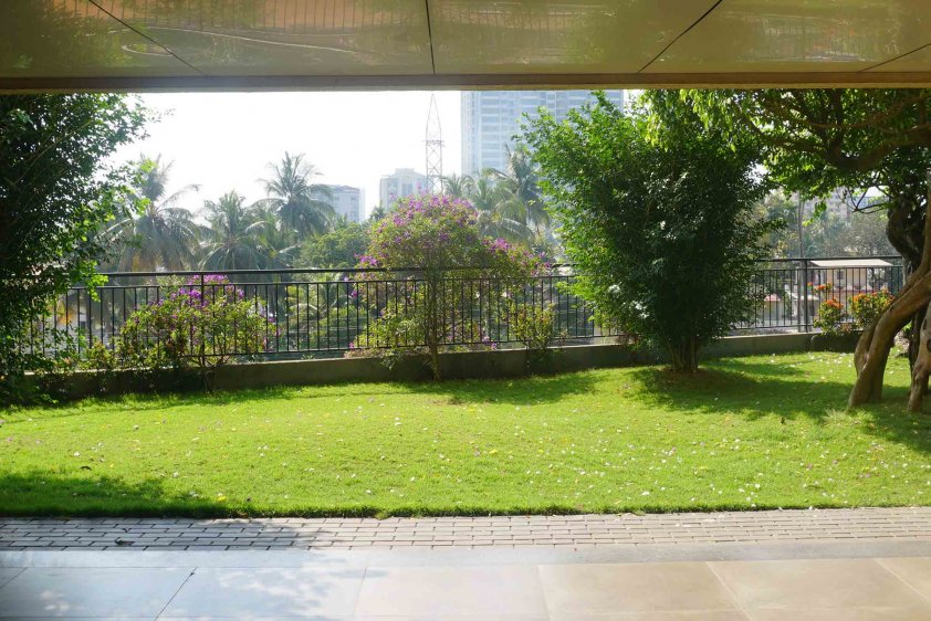 TERRACE GARDENING: EVERYTHING YOU NEED TO KNOW<