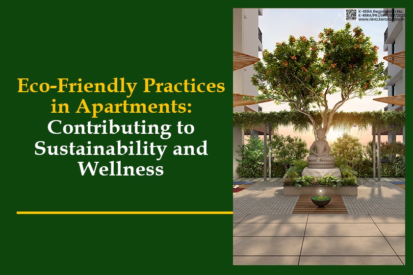 Eco-Friendly Practices in Apartments: Contributing to Sustainability and Wellness<