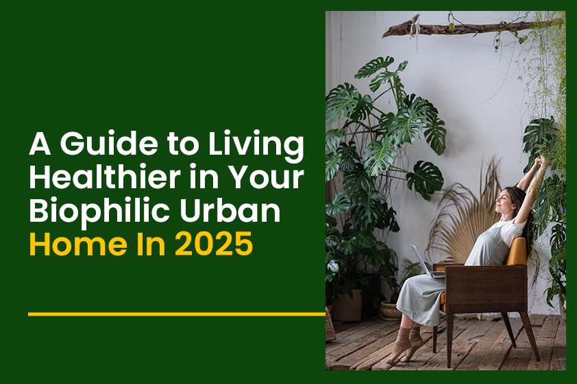 A Guide to Living Healthier in Your Biophilic Urban Home In 2025<