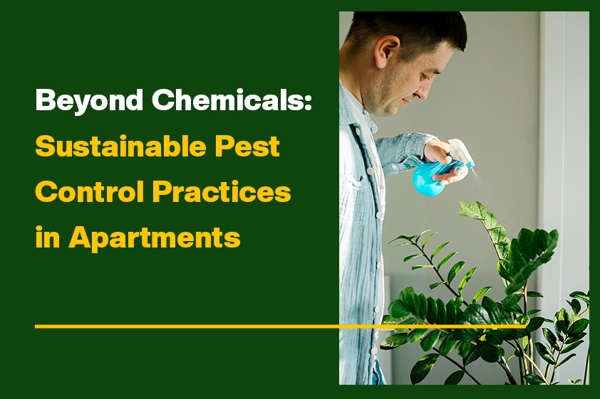 Beyond Chemicals: Sustainable Pest Control Practices in Apartments<